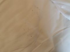 -如家商旅酒店(苏州绿宝广场何山路地铁站店)