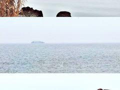 -上海市保健医疗中心