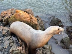 -西霞口神雕山野生动物世界