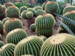 -国家植物园南园