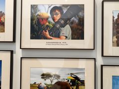 -罗红摄影艺术馆