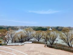 -东方绿舟景区