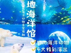 -海合安天津极地海洋公园