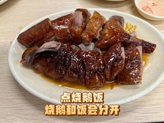 烧鹅饭-鹅最好(南光店)