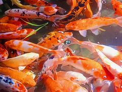-海合安青岛极地海洋公园