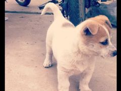 签到图片-浙商世贸玉龙酒店