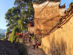 -杨家堂村
