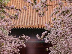 -故宫博物院(故宫)