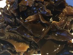 -Local泰莲庭(虹鳟鱼店)