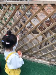 -萌宠亲子动物乐园(槐房万达店)