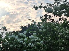 -大龙山(地铁站)