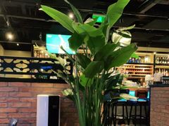 -bluefrog蓝蛙(水游城店)