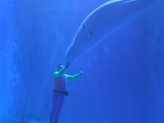 -多彩贵州城极地海洋世界