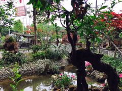 景观位-青城甲(青城山店)