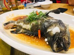 -寻味顺德·南记酒家·传统顺德菜·鱼生(广源路店)