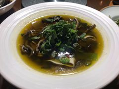 鲜椒千层肚-蜀宴小调·精致家常菜(科华店)