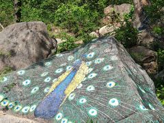 -黑龙潭风景区
