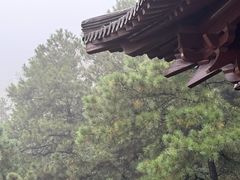 -敬亭山风景名胜区