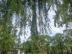 -四川大学(望江校区)