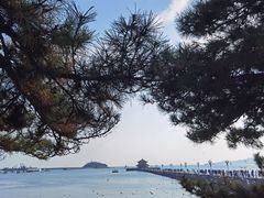 -栈桥景区