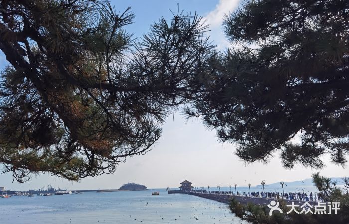 栈桥景区图片