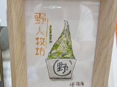 -野人牧坊Gelato(天津南开大悦城店)