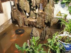 -丽江庭院·云南野生菌·海鲜火锅(鼓楼四合院店)