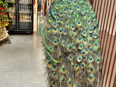 -凤膳轩·天麻土鸡汤滋补火锅(大明宫西店)