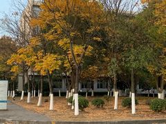 -江南大学(蠡湖校区)