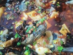 -黑竹香鸡(营和巷店)