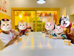 -英孚教育青少儿(高新公园茂中心)