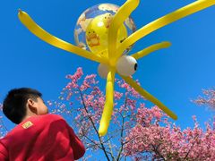 -风云岭森林公园