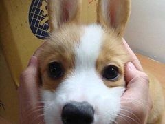 -海天牧场(银川商城店)