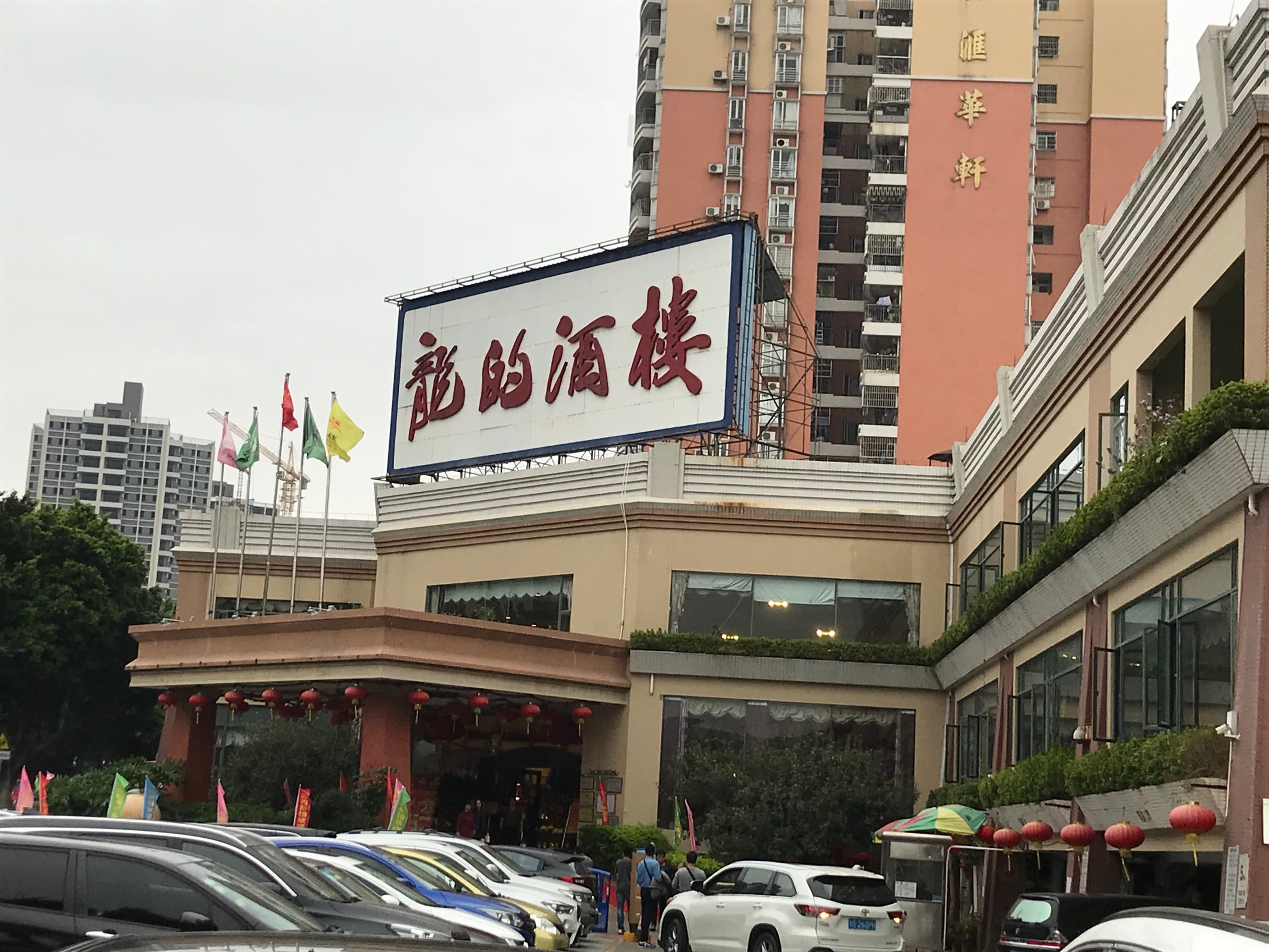 顺德龙的酒楼早茶分享