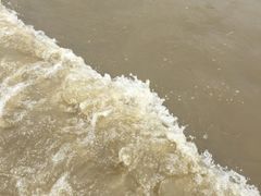 -日照海滨国家森林公园