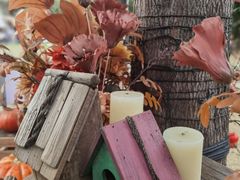 -HERRE·FARM 赫尔露营农场·团建聚会包场