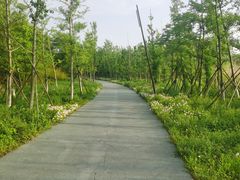-佛手湖郊野公园