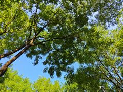 -东郊湿地公园