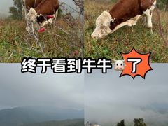 -灵山