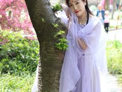 -嘉定紫藤园