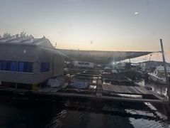 -蓝湾碧波·老字号·疍家非遗海上餐厅