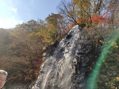 -龙道沟景区