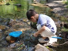 -碓臼峪自然风景区