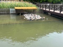 -荷塘味道(水长城店)