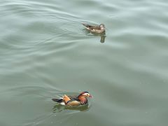 -西湖天地
