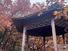 -北京十三陵国家森林公园蟒山景区