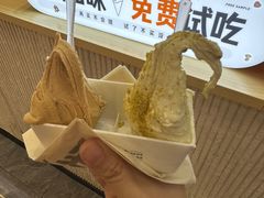 -野人先生现做冰淇淋(西安赛格店)