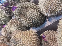 -果蔬好生活超市(乐堤港店)