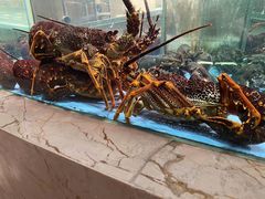 -旺顺阁海鲜广场(亚运村店)