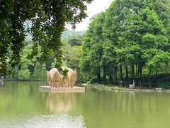 -广州市白云山风景名胜区